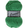  Lammy Canada Garn Unicolor 046 Grønn