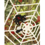 Black Widow by DROPS Design - Halloween Pynt Hekleoppskrift