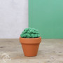 Lag selv/DIY-sett Cacti hekling